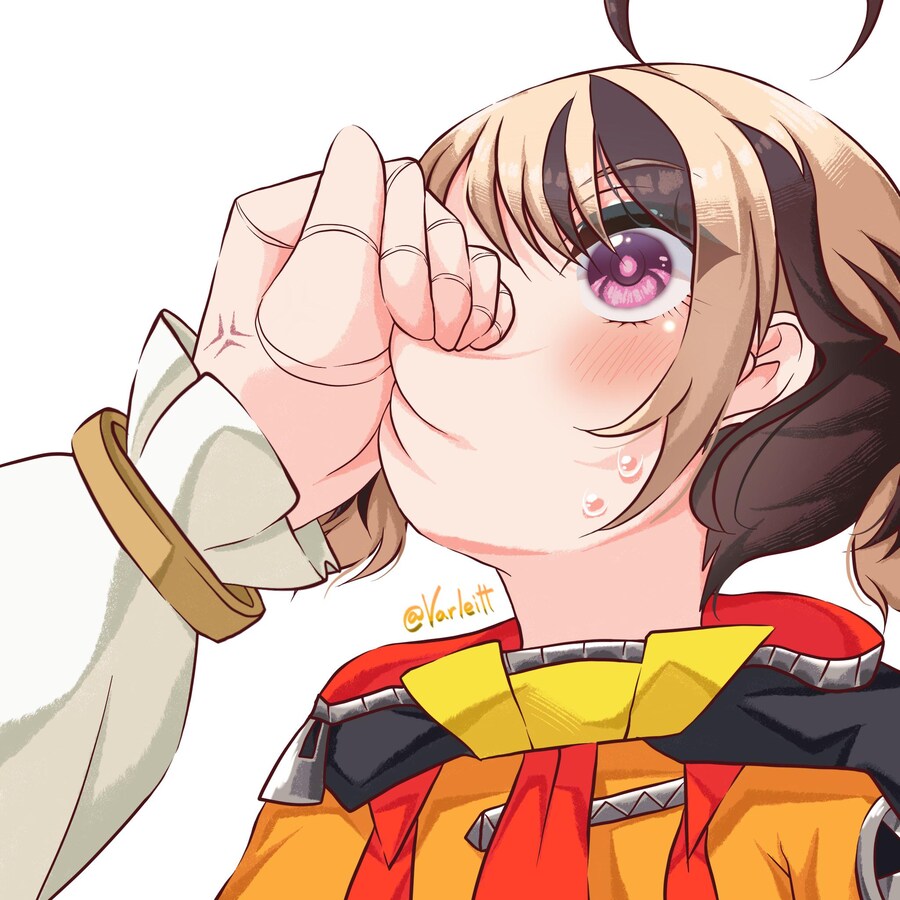 버튜버)홀로라이브 메붕이_1.jpg