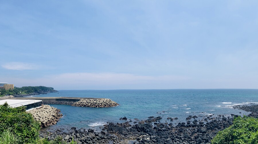 아이폰 se2 카메라도 아직 쓸만한거 같음_2.jpg