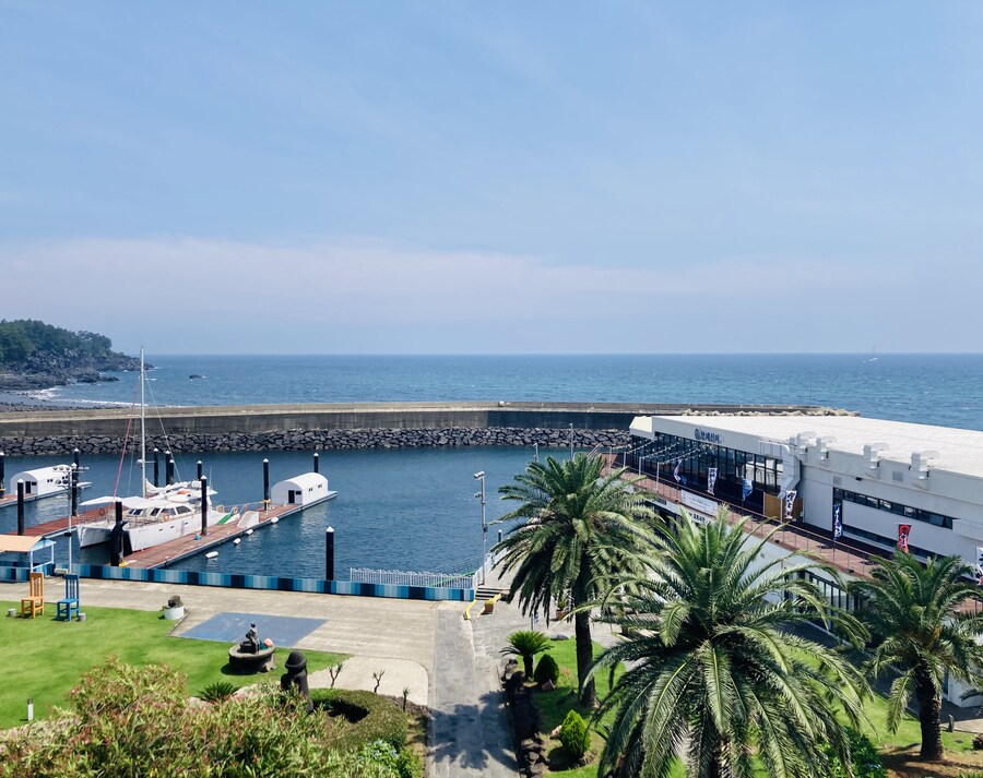 아이폰 se2 카메라도 아직 쓸만한거 같음_3.jpg