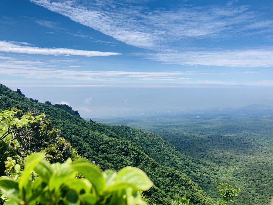 아이폰 se2 카메라도 아직 쓸만한거 같음_9.jpg
