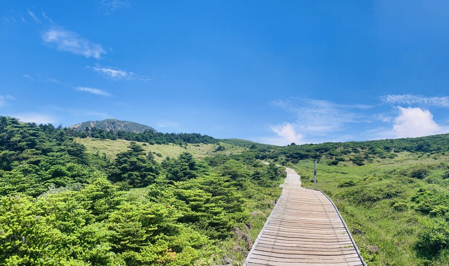 아이폰 se2 카메라도 아직 쓸만한거 같음_13.jpg