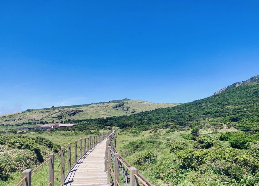 아이폰 se2 카메라도 아직 쓸만한거 같음_16.jpg