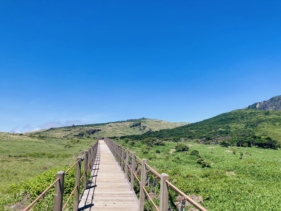 아이폰 se2 카메라도 아직 쓸만한거 같음_17.jpg