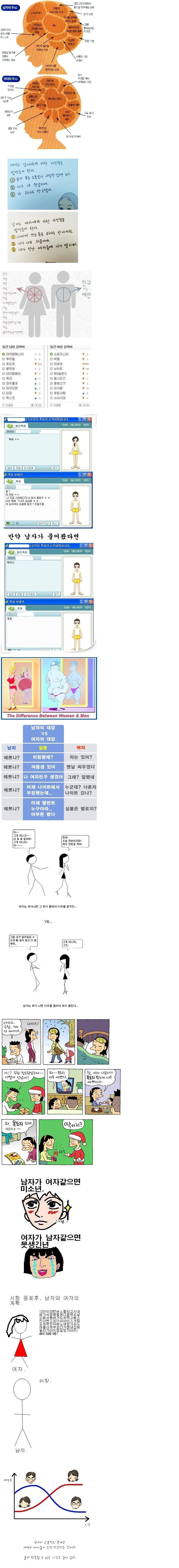 남여 두뇌차이_1.jpg