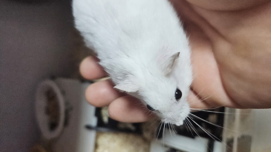 햄스터용 에어컨을 만들어보았습니다_6.jpg