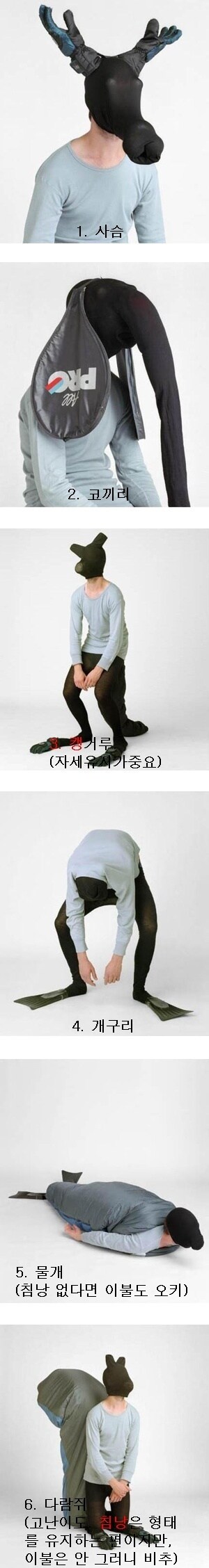 인간동물의 자세_1.jpg