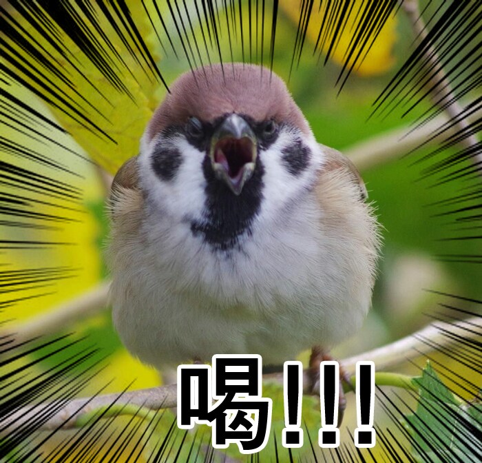 저는 모두까기 가능합니다_1.png