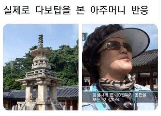 실제로 다보탑을 본 아주머니 반응.jpg_1.png