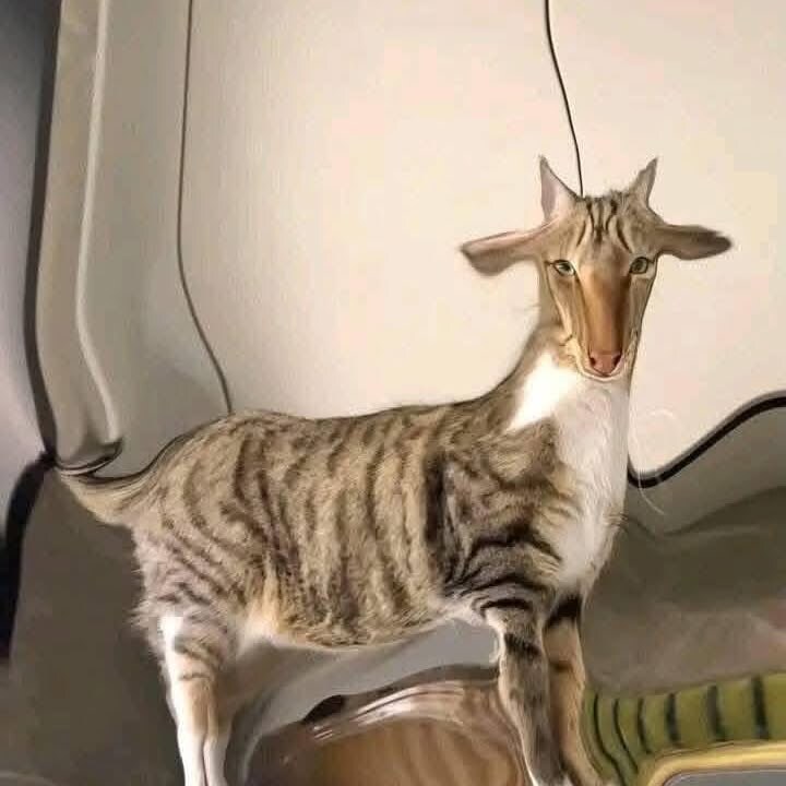 묘체개조_2.jpg