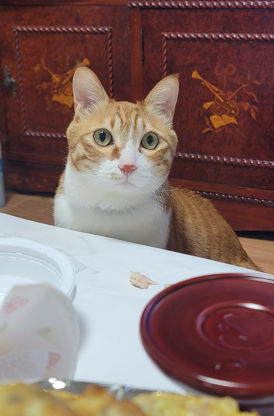 x토피아? 나도 달린다_8.jpg