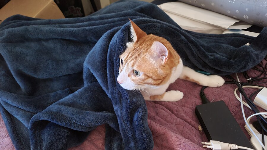 x토피아? 나도 달린다_11.jpg