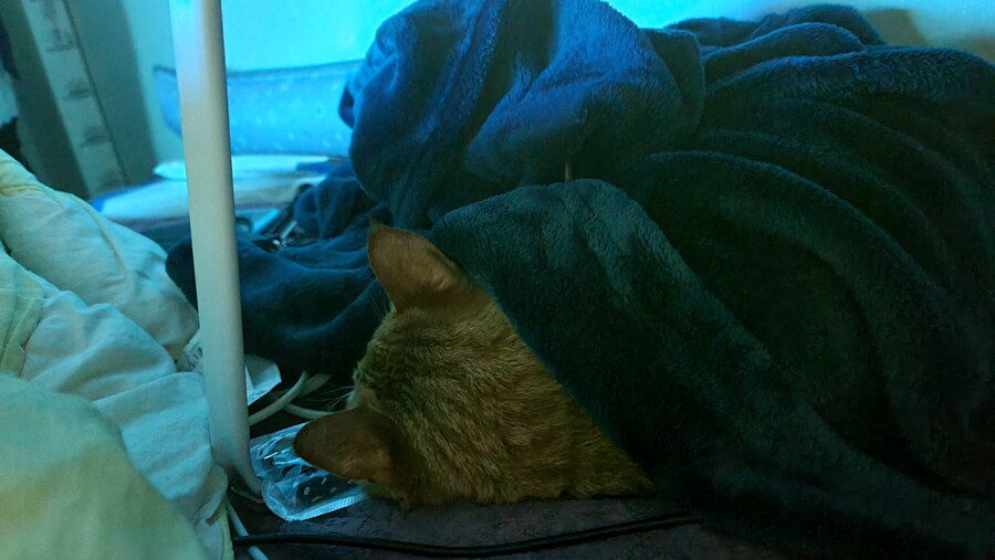 x토피아? 나도 달린다_12.jpg