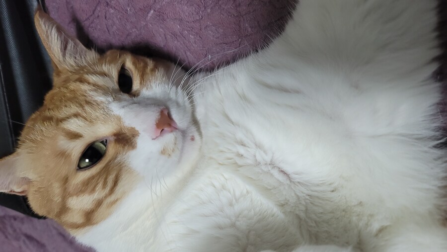 x토피아? 나도 달린다_13.jpg