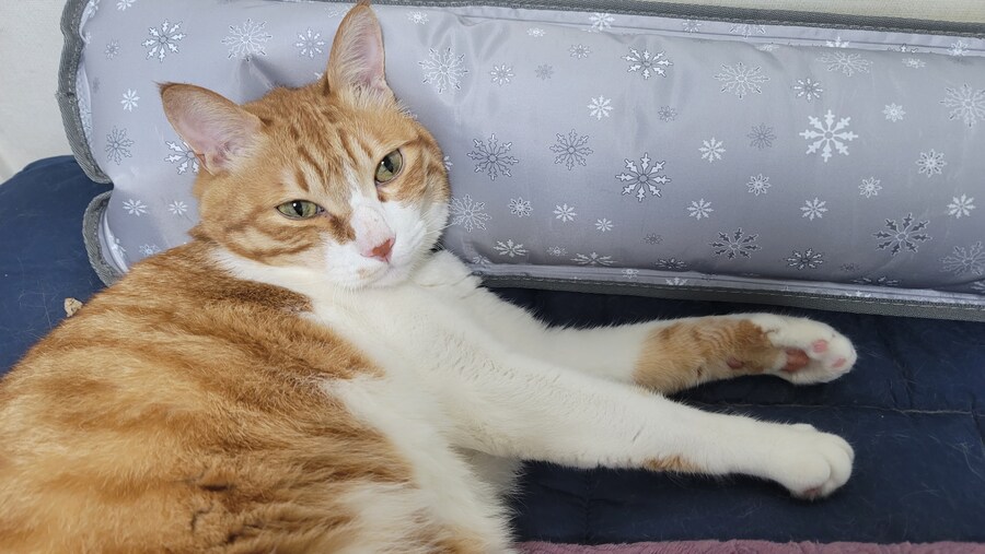 x토피아? 나도 달린다_14.jpg