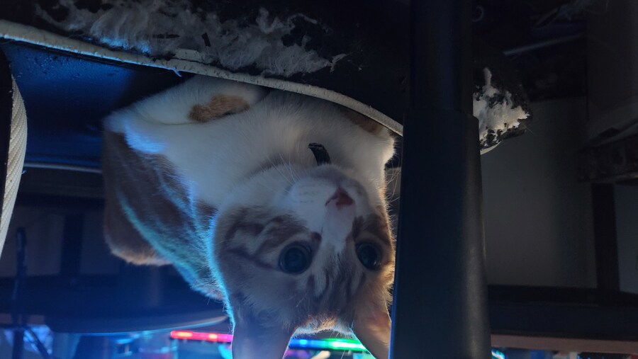 x토피아? 나도 달린다_16.jpg