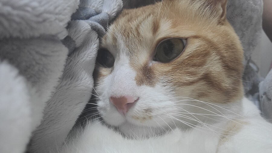 x토피아? 나도 달린다_19.jpg