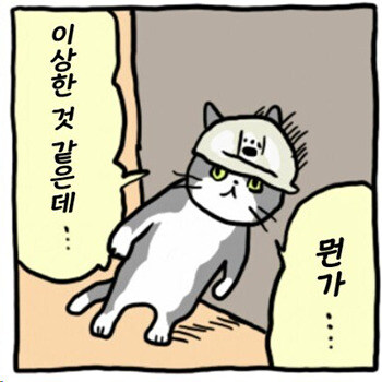 근드립으로 궁시렁 거리는것도 wwe임_1.jpg