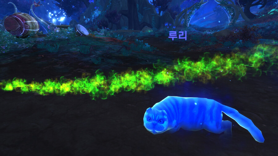 와우] 님들 근냥이 본적있음 ? ?_2.jpg