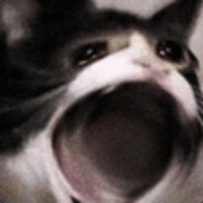 아 방금 오토바이 빼달래서 잠깐나갔는데_2.jpg
