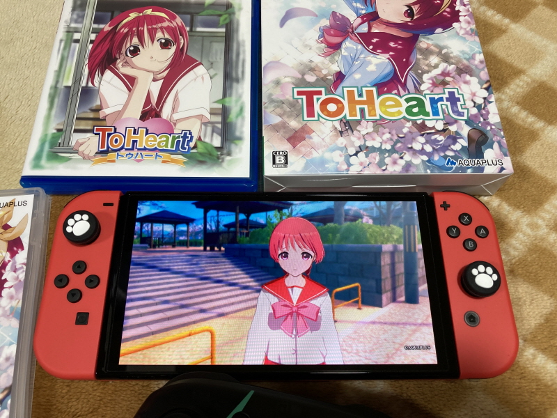 투하트(ToHeart) 리메이크 프리미엄 에디션 With 필링 하트 ~_70.jpg