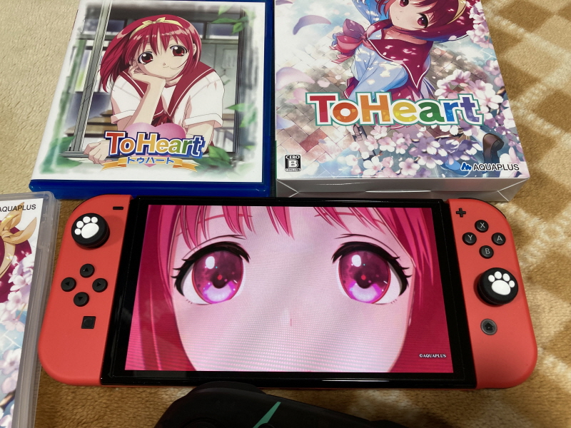 투하트(ToHeart) 리메이크 프리미엄 에디션 With 필링 하트 ~_81.jpg