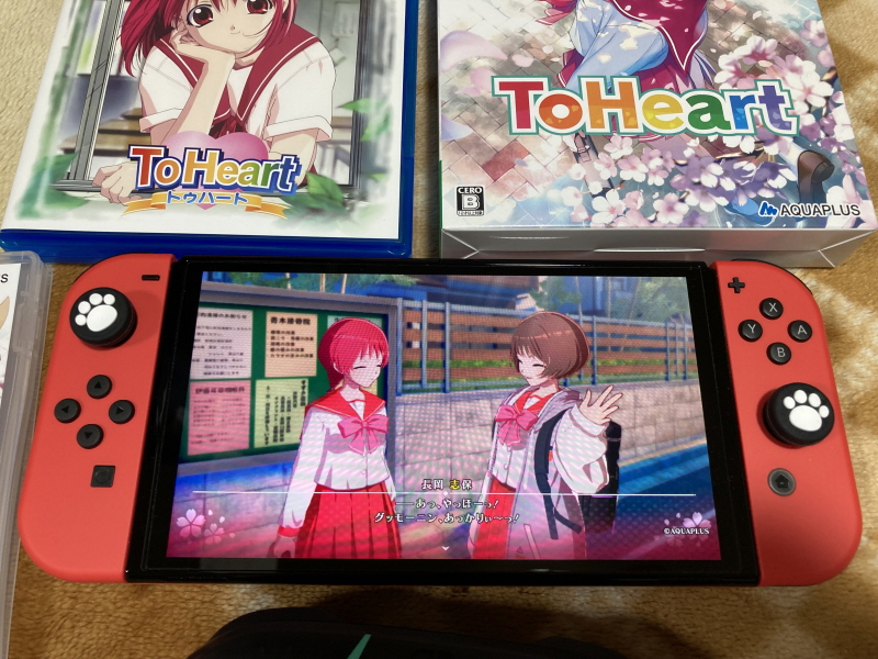투하트(ToHeart) 리메이크 프리미엄 에디션 With 필링 하트 ~_83.jpg