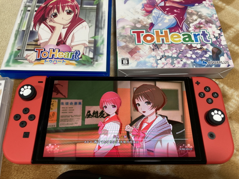 투하트(ToHeart) 리메이크 프리미엄 에디션 With 필링 하트 ~_85.jpg