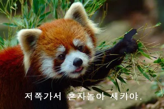 마비m) 야도 나오면 매상 좀 나올거 같은데_1.webp