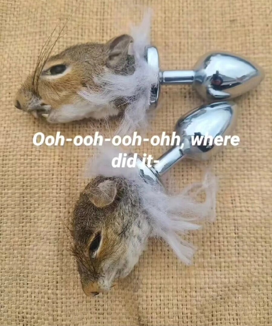 다람쥐 머리장식 애널플러그_1.jpg