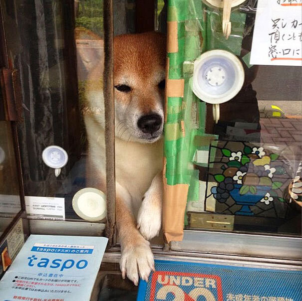 일본의 어느 구멍가게의 주인_4.jpg