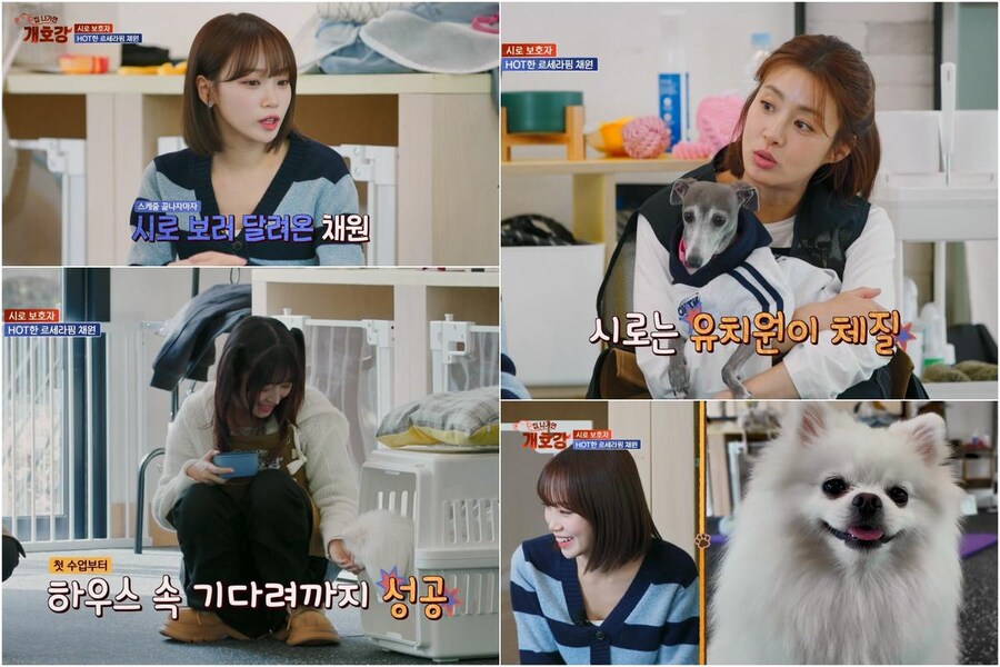 르세라핌 김채원 “나만 불안해‥분리불안 있다” 고백(개호강)_1.jpg