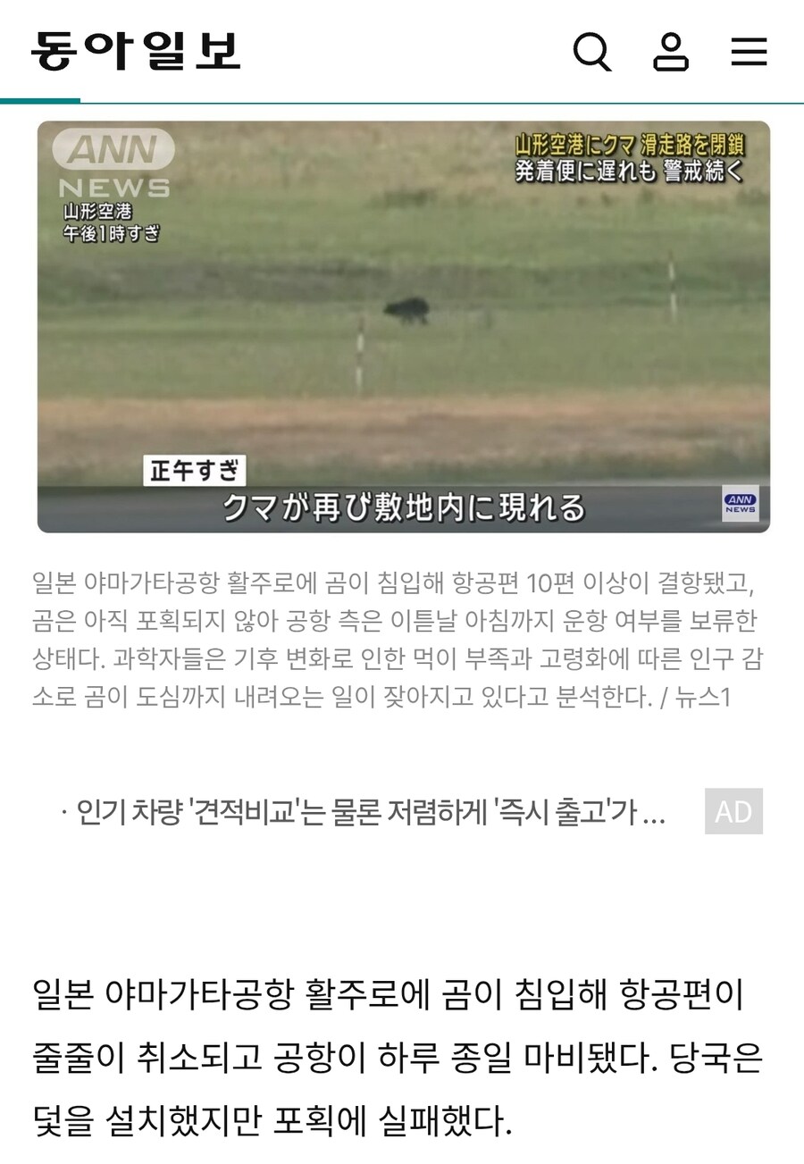 “활주로에 곰 출몰, 차로 쫓아봤지만”…日 항공편 줄줄이 취소_1.jpg