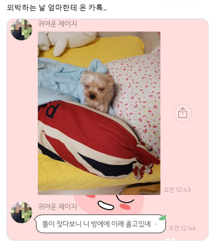 외박하는 날 엄마한테 온 카톡_1.jpg