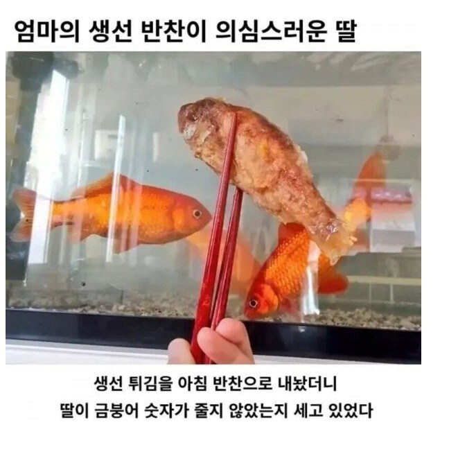 엄마의 생선 요리를 의심하는 딸_1.jpg