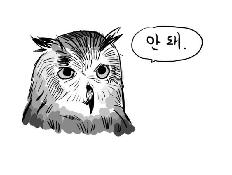 Q:긴장 푸는데 좋은거 없을까?_1.jpg