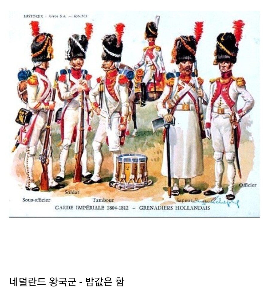 나폴레옹 전쟁 당시 프랑스군 동맹 군대 평가_1.jpg