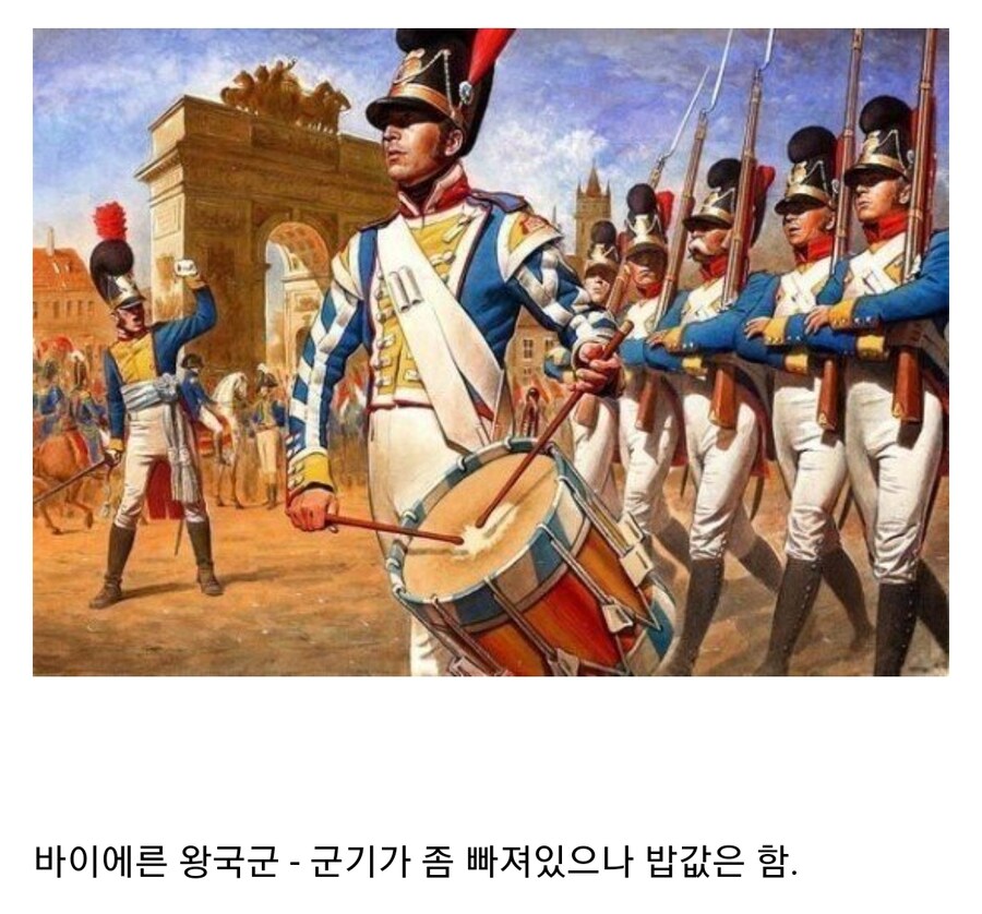 나폴레옹 전쟁 당시 프랑스군 동맹 군대 평가_8.jpg