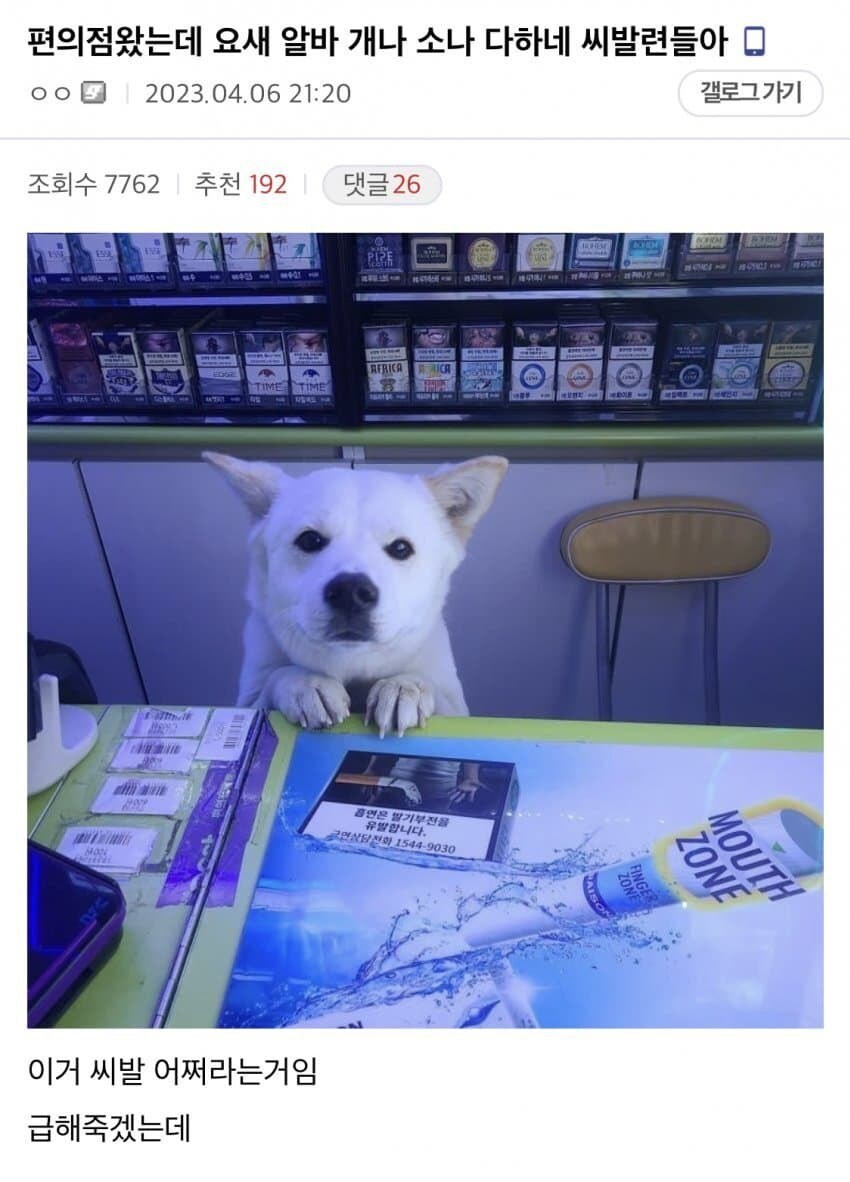 개나소나 알바하는 현실에 분노하는 디시인_1.png
