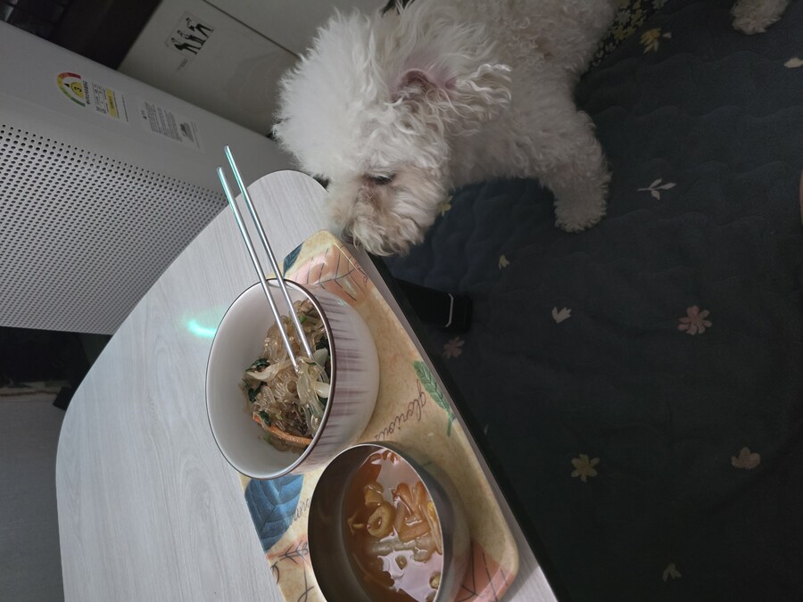 우리 강아지가 밥달라고한다_1.jpg