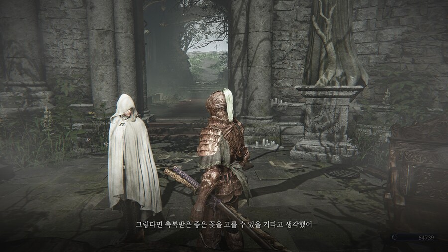 (엘든링) 엘밤통 캐릭터 스토리 - 집행자 편_10.jpg