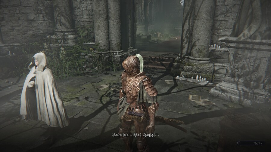 (엘든링) 엘밤통 캐릭터 스토리 - 집행자 편_30.jpg
