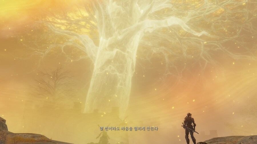 (엘든링) 엘밤통 캐릭터 스토리 - 집행자 편_33.jpg