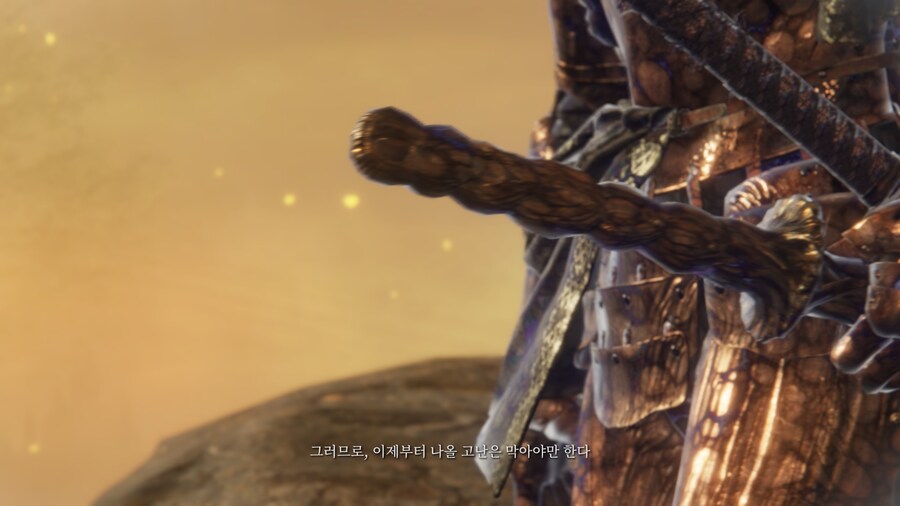 (엘든링) 엘밤통 캐릭터 스토리 - 집행자 편_36.jpg