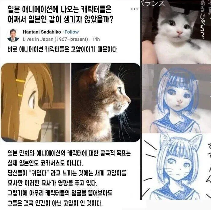 일본 애니 캐릭터들의 디자인 특징_2.webp