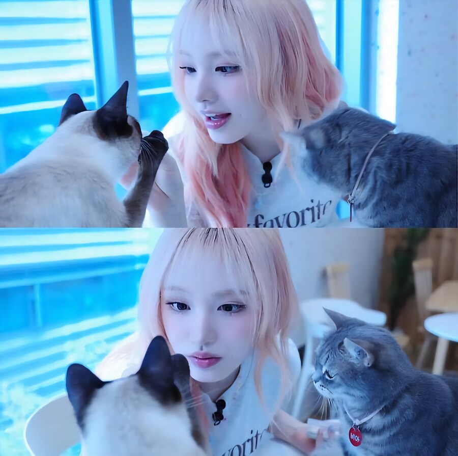 아이브 리즈 귀여워요 !!_2.jpg