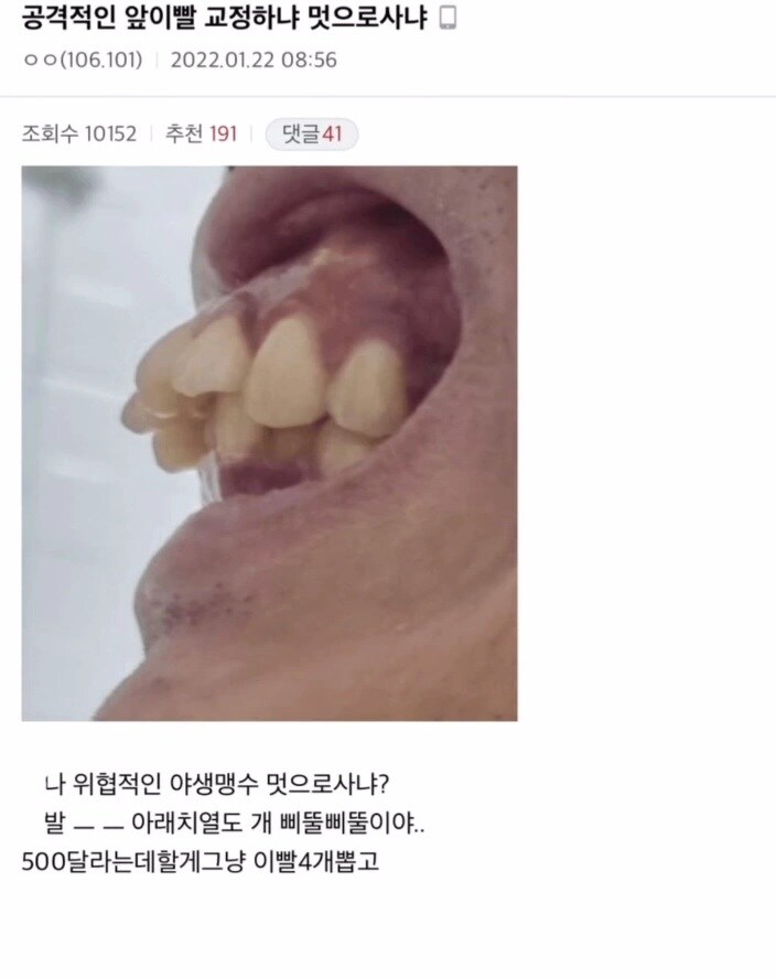 교정갤러리에 나타난 트롤.jpg_1.jpg