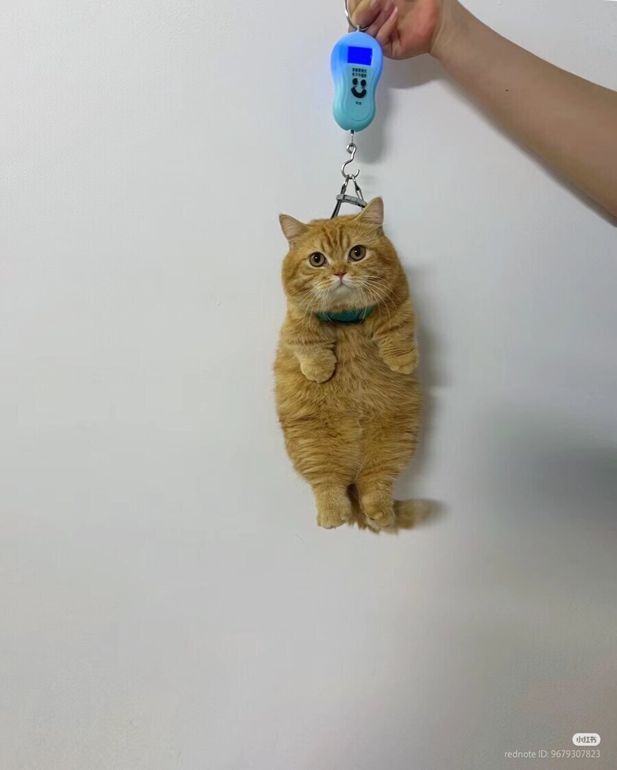 난 첫 여친을 사정게를 통해서 만남_1.jpg