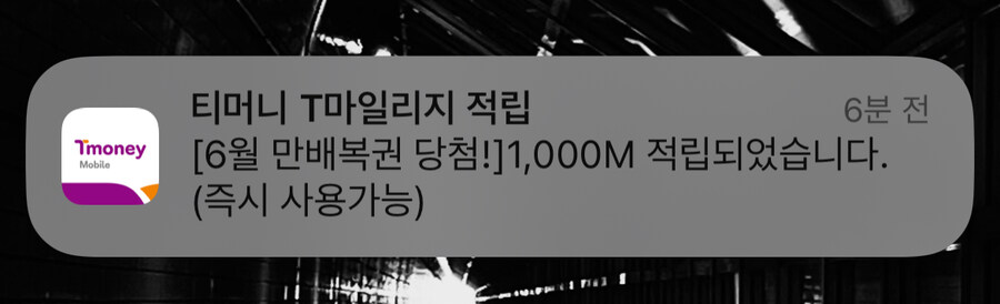 누구 입에 붙이라곸_1.jpg