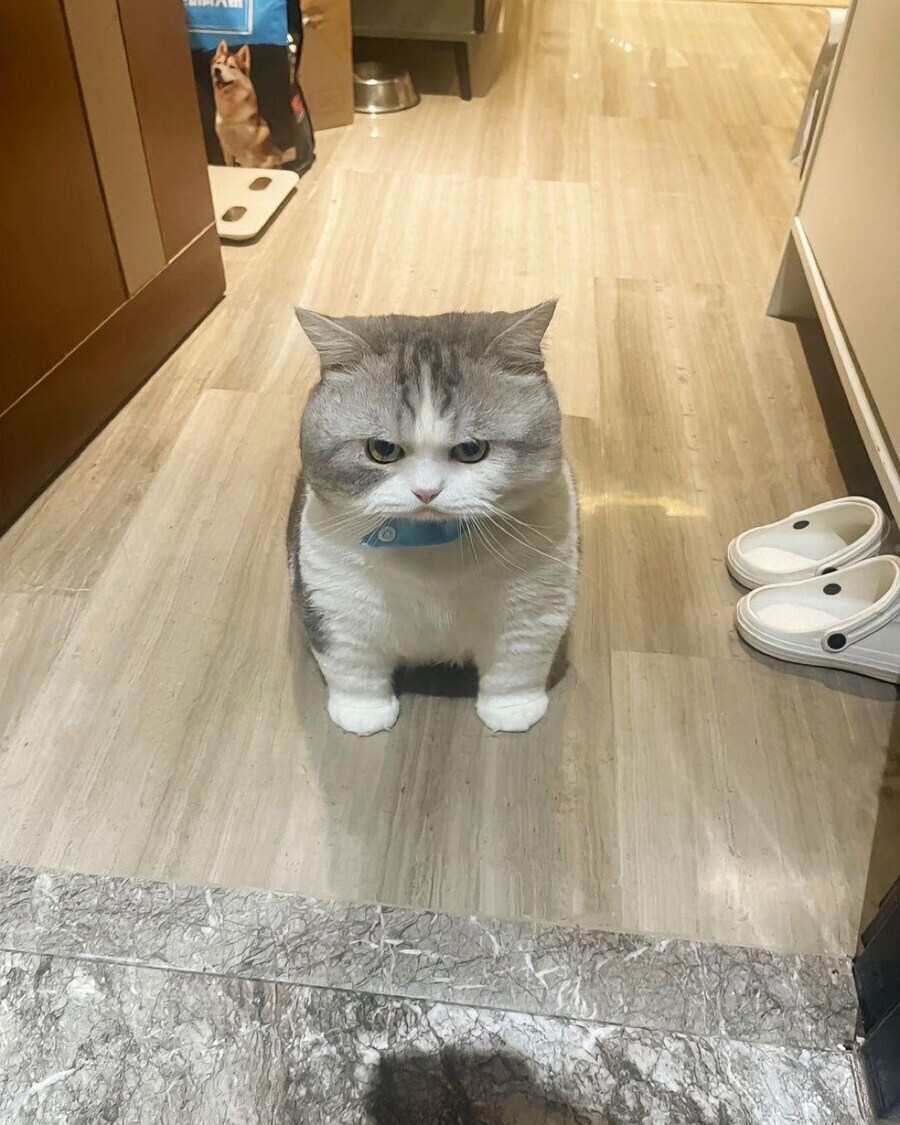 오징어게임 스포당해도 전혀신경안씀_1.jpg