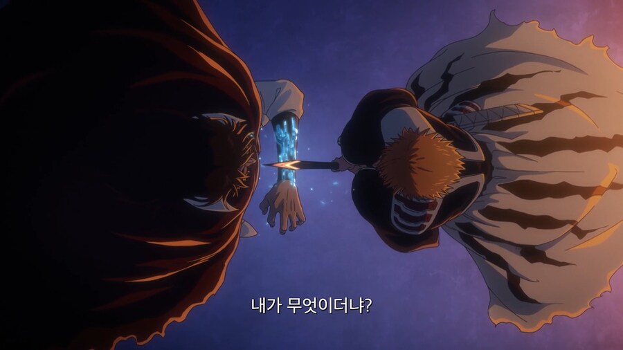 블리치]제 어미를 죽인 자에게 죽이겠다는 말 하나 못하는것이냐_3.jpg